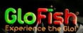 GloFish