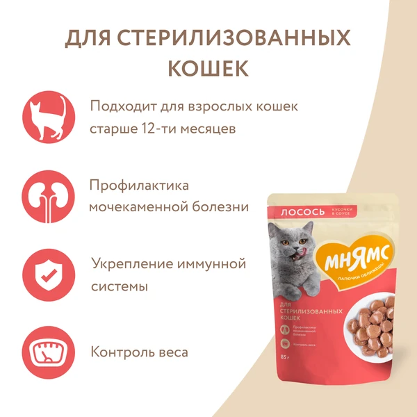 Мнямс влажный корм для стерилизованных кошек с лососем в соусе, 85 г