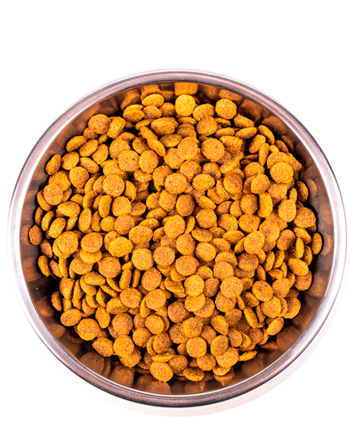 Monge Cat Sterilised сухой корм для стерилизованных кошек с форелью, 1,5 кг