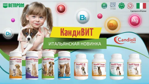 КандиВит Боун для собак 50 таблеток кальций