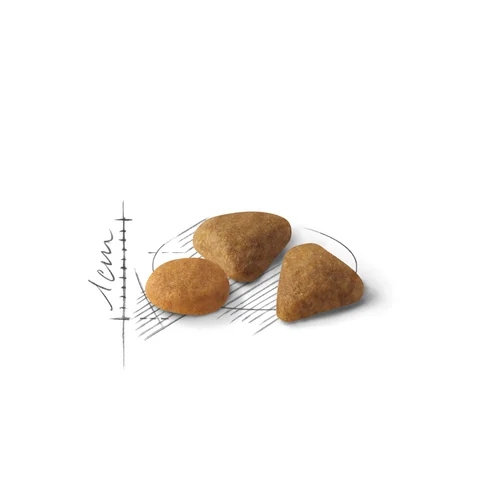 Royal Canin (Роял Канин) Savour Exigent 4 кг