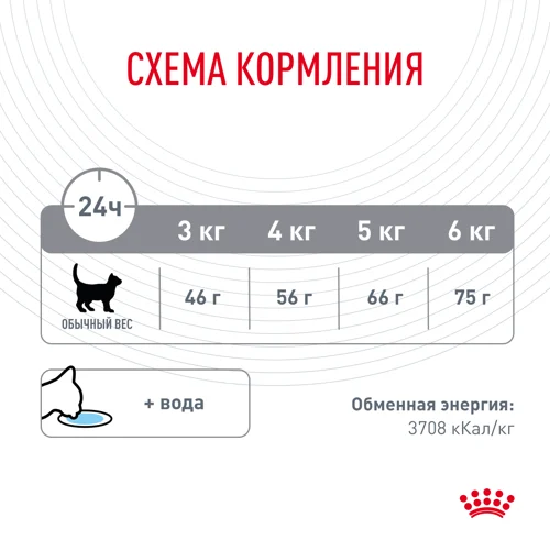 Royal Canin (Роял Канин) Dental для чистки и при заболеваниях зубов 1,5 кг