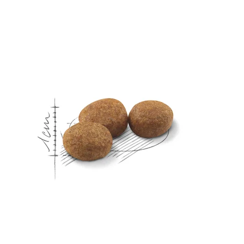 Royal Canin Sterilised сухой корм для стерилизованных кошек, 200 г