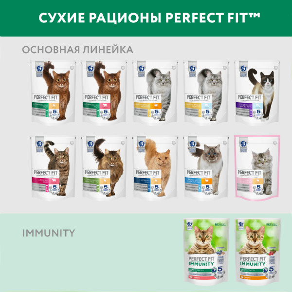 Perfect Fit (Перфект Фит) для кошек Иммунитет Говядина, лен, голубика 580г