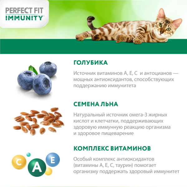 Perfect Fit (Перфект Фит) для кошек Иммунитет Говядина, лен, голубика 580г