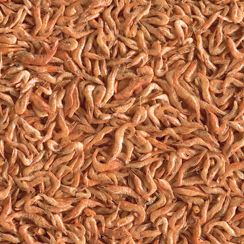 ТЕТРА ReptoDelica Shrimps 250ml(КРЕВЕТКИ) д/рептил
