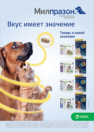 Милпразон для кошек более 2 кг 16 мг/40 мг 2 таблетки