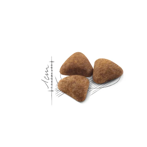Royal Canin Indoor сухой корм для домашних кошек, 200 г