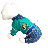 Дождевик Dog полоска, изумруд, мальчик, 12