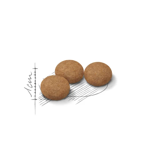 Royal Canin Aging Sterilised 12+ сухой корм для стерилизованных кошек старше 12 лет, 2 кг