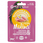 Molina влажный корм для кошек с цыплёнком в желе, 70 г