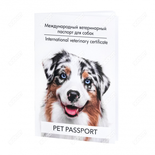 Паспорт ветеринарный для собак САТ