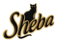 Sheba Sheba