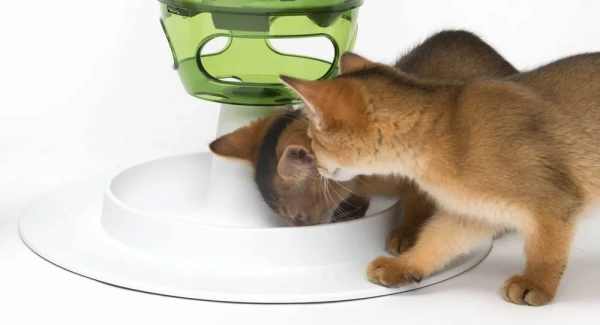 Кормушка-головоломка для кошек Senses 2.0 CATIT
