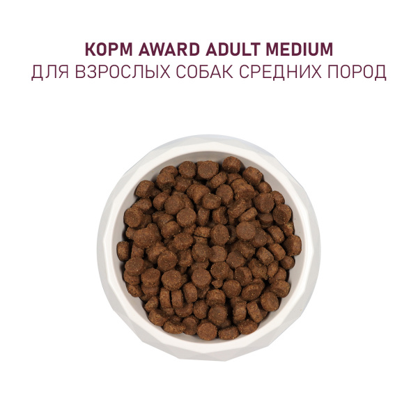 AWARD сухой корм для собак средних пород с индейкой и курицей, 2 кг