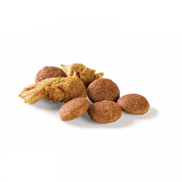 Purina Pro Plan Duo Delice сухой корм для взрослых собак крупных пород с говядиной и рисом, 2,5 кг