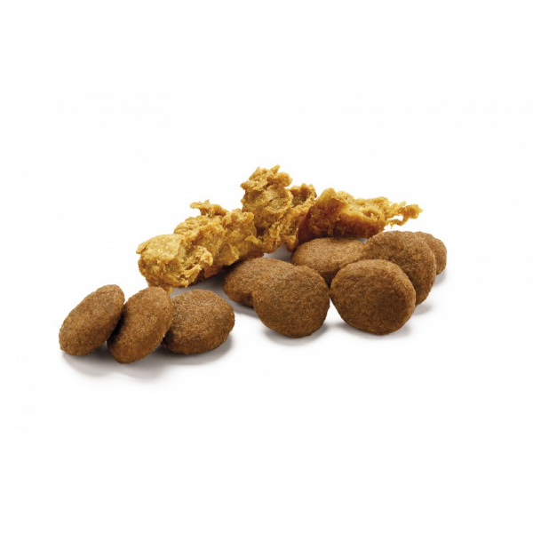 Purina Pro Plan Duo Delice сухой корм для взрослых собак мелких пород с говядиной и рисом, 700 г
