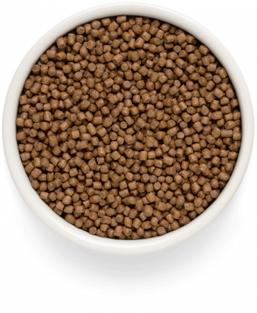 Premier Kitten сухой корм для котят с индейкой, 2 кг