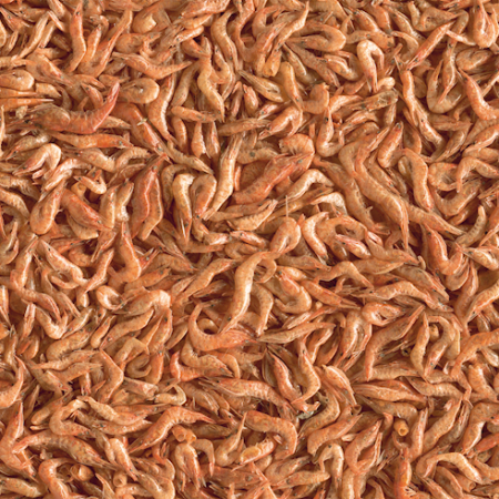 ТЕТРА ReptoDelica Shrimps 250ml(КРЕВЕТКИ) д/рептил