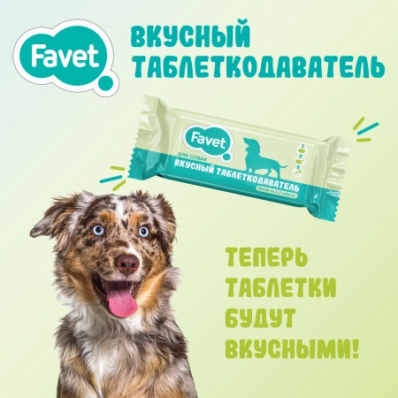 Favet (Фавет) Вкусный таблеткодаватель для собак 1 штука